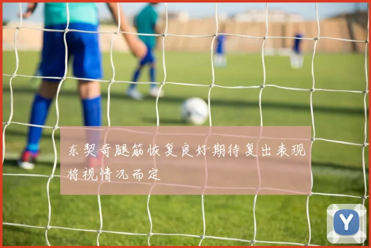 东契奇腿筋恢复良好期待复出表现将视情况而定