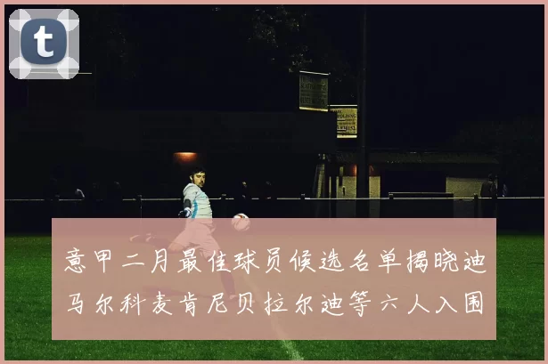 意甲二月最佳球员候选名单揭晓迪马尔科麦肯尼贝拉尔迪等六人入围